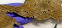 Handschoenen houden een beschreven fragment van een oude rol vast