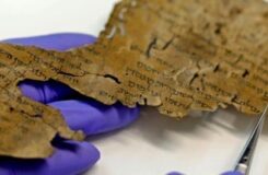 Handschoenen houden een beschreven fragment van een oude rol vast